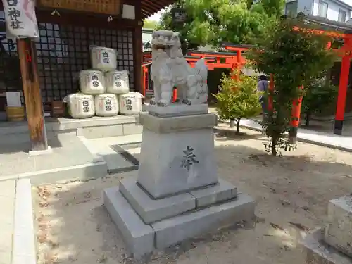 塚口神社の狛犬