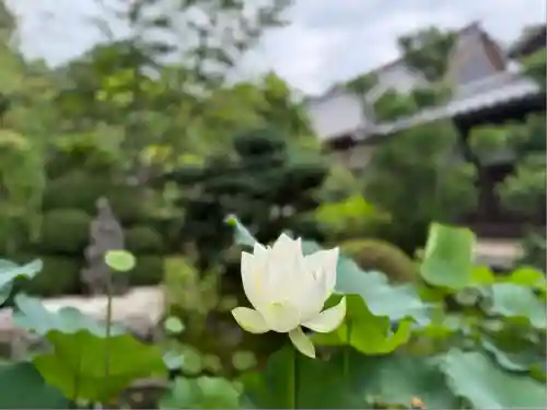 龍潭寺(静岡県)