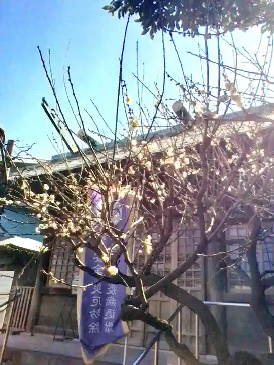 國領神社(東京都)