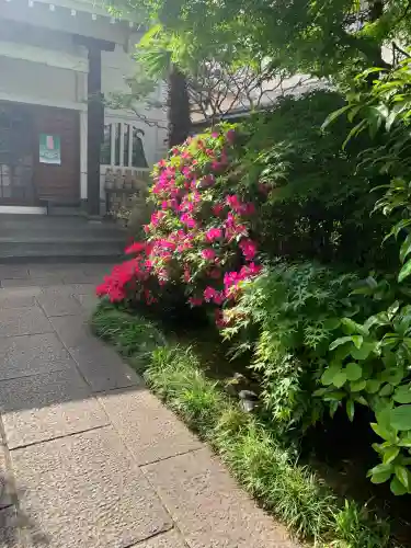 定泉寺(東京都)