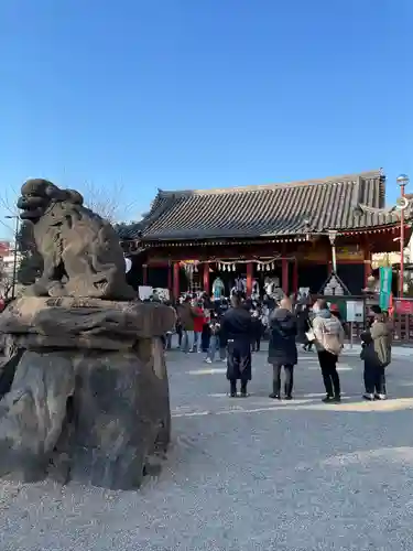 浅草神社の狛犬