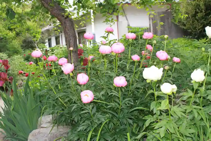石光寺(奈良県)