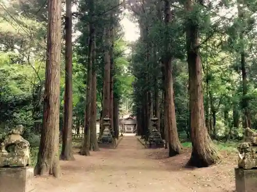 湯野神社の自然