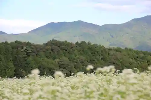 笠山坐神社の景色