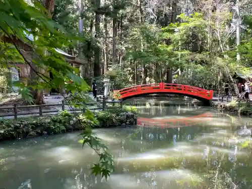 小國神社の{uncategorized: "未分類", other: "その他", undefined: "問題あり", building: "その他建物", grave: "お墓", sacred_gate: "鳥居", guardian: "狛犬", statue: "像", buddha: "仏像", history: "歴史", nature: "自然", garden: "庭園", animal: "動物", pagoda: "塔", temizu: "手水舎", mountain_gate: "山門・神門", sanctuary: "本殿・本堂", subordinate: "末社・摂社", art: "芸術", scenery: "景色", jizo: "地蔵", ema: "絵馬", goshuin: "御朱印", omikuji: "おみくじ", items: "授与品その他", amulet: "お守り", goshuincho: "御朱印帳", eats: "食事", festival: "お祭り", votive_dance: "神楽", shichigosan: "七五三参", wedding: "結婚式", experience: "体験その他", initially: "初詣", around: "周辺", anti_infection: "感染症対策"}