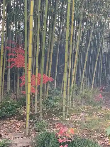 最勝寺の庭園