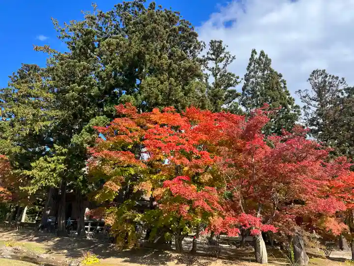 毛越寺(岩手県)