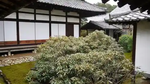 隨心院（随心院）のその他建物