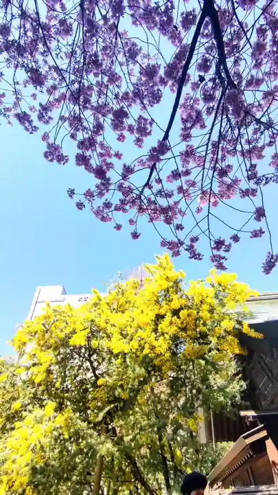 蔵前神社(東京都)