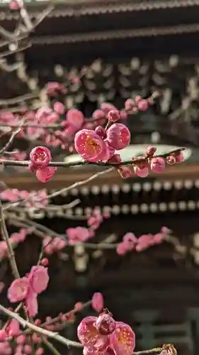 清凉寺(京都府)