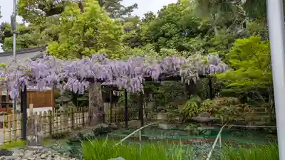 辛國神社(大阪府)