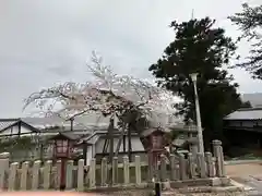 山王宮日吉神社(京都府)