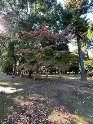 東蕗田天満社(茨城県)