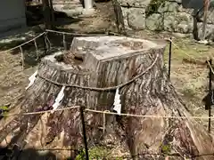 住吉神社(大阪府)