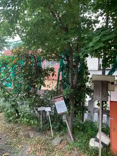 江北氷川神社の自然