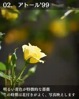 宝光寺(北海道)