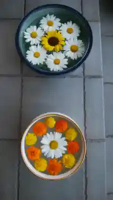 伊達神社の手水舎