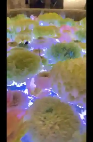 行田八幡神社の{uncategorized: "未分類", other: "その他", undefined: "問題あり", building: "その他建物", grave: "お墓", sacred_gate: "鳥居", guardian: "狛犬", statue: "像", buddha: "仏像", history: "歴史", nature: "自然", garden: "庭園", animal: "動物", pagoda: "塔", temizu: "手水舎", mountain_gate: "山門・神門", sanctuary: "本殿・本堂", subordinate: "末社・摂社", art: "芸術", scenery: "景色", jizo: "地蔵", ema: "絵馬", goshuin: "御朱印", omikuji: "おみくじ", items: "授与品その他", amulet: "お守り", goshuincho: "御朱印帳", eats: "食事", festival: "お祭り", votive_dance: "神楽", shichigosan: "七五三参", wedding: "結婚式", experience: "体験その他", initially: "初詣", around: "周辺", anti_infection: "感染症対策"}