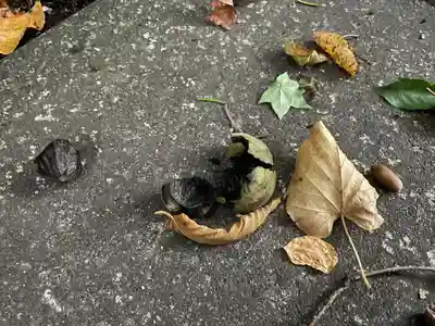 白石神社(北海道)