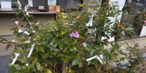 月読神社（松尾大社摂社）(京都府)