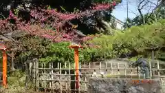 明王院（満願寺別院）の庭園