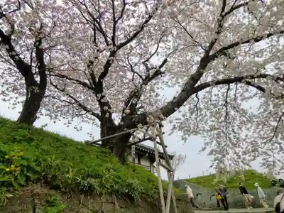 松前神社(北海道)