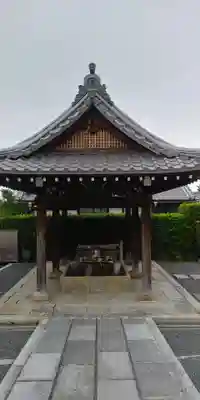 くろ谷 金戒光明寺の手水舎