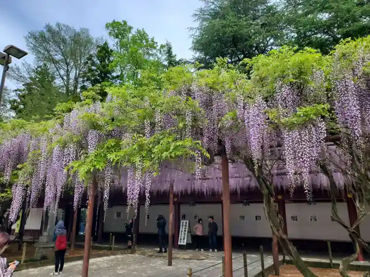 笠間稲荷神社(茨城県)