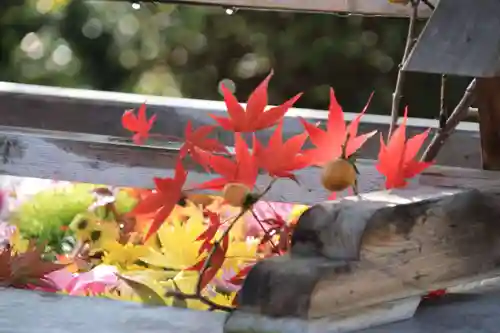 豊景神社の手水