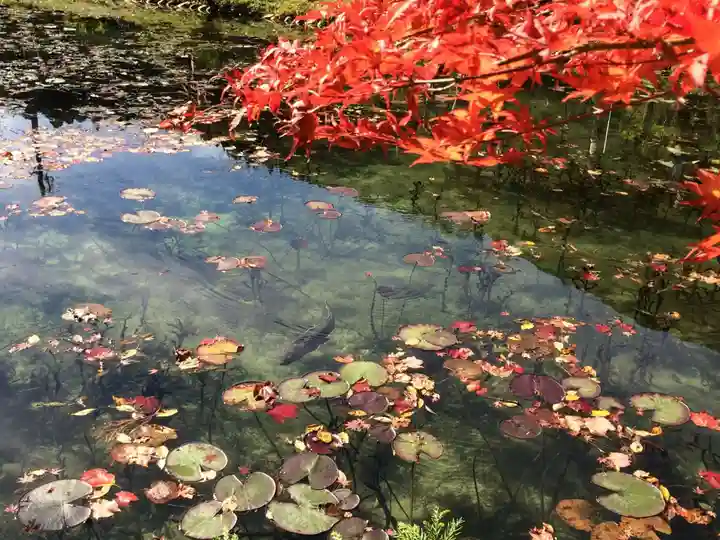 根道神社の庭園