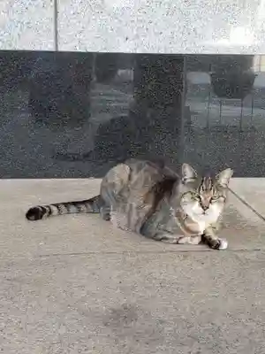 白金氷川神社(東京都)