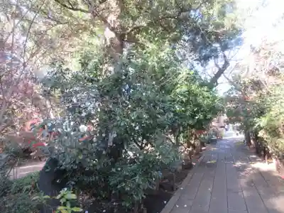 龍峰寺(神奈川県)