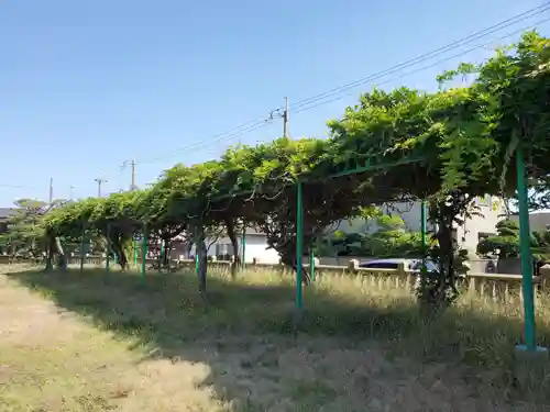 阿閇神社の自然