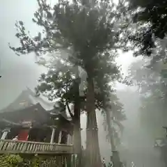 三峯神社の自然