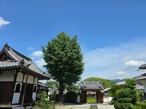 向原寺(奈良県)