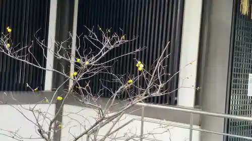 筥崎宮(福岡県)