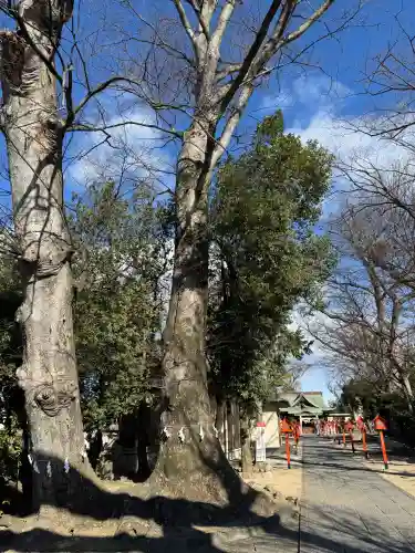 上野総社神社の{uncategorized: "未分類", other: "その他", undefined: "問題あり", building: "その他建物", grave: "お墓", sacred_gate: "鳥居", guardian: "狛犬", statue: "像", buddha: "仏像", history: "歴史", nature: "自然", garden: "庭園", animal: "動物", pagoda: "塔", temizu: "手水舎", mountain_gate: "山門・神門", sanctuary: "本殿・本堂", subordinate: "末社・摂社", art: "芸術", scenery: "景色", jizo: "地蔵", ema: "絵馬", goshuin: "御朱印", omikuji: "おみくじ", items: "授与品その他", amulet: "お守り", goshuincho: "御朱印帳", eats: "食事", festival: "お祭り", votive_dance: "神楽", shichigosan: "七五三参", wedding: "結婚式", experience: "体験その他", initially: "初詣", around: "周辺", anti_infection: "感染症対策"}