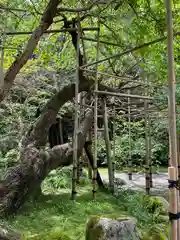 當麻寺 奥院(奈良県)