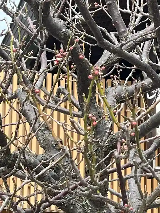白山神社(新潟県)