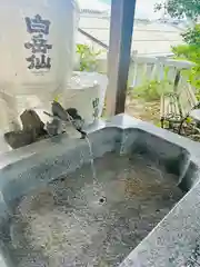 毛谷黒龍神社(福井県)