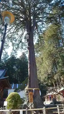 北口本宮冨士浅間神社(山梨県)