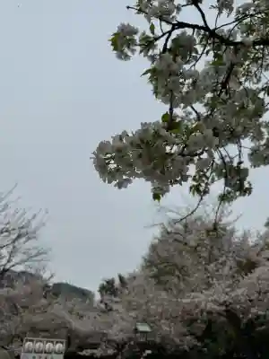 靖國神社(東京都)