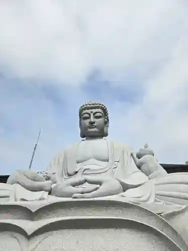 御誕生寺（猫寺）(福井県)