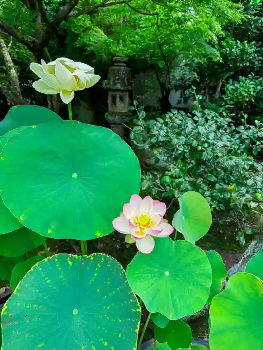 伊勢の国 四天王寺(三重県)