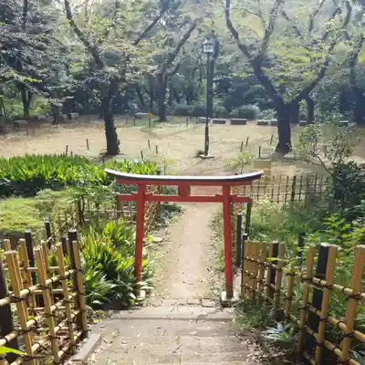 円山随身稲荷大明神の鳥居