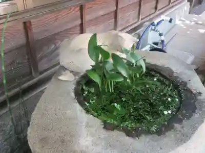 城官寺(東京都)