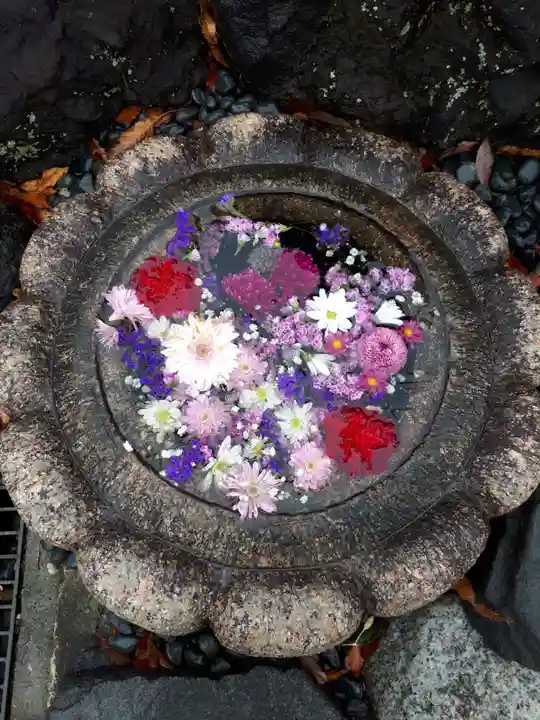 埼玉厄除け開運大師・龍泉寺(切り絵御朱印発祥の寺)の手水舎