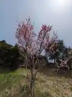 石内のお大師さん 金剛院(広島県)