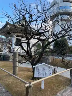 月照寺(兵庫県)