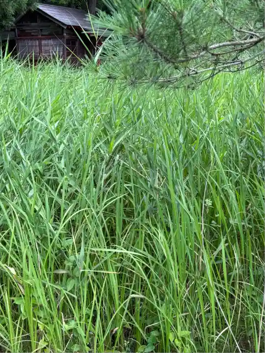 安久津八幡神社(山形県)